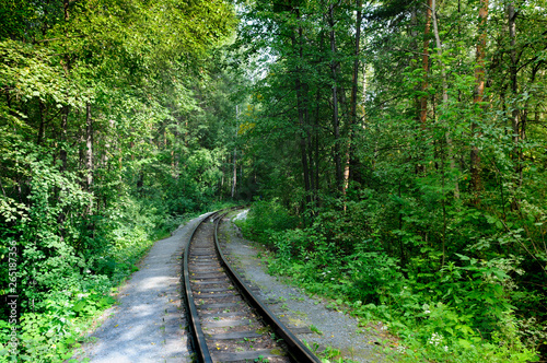 one way old railroad in rural area with green trees