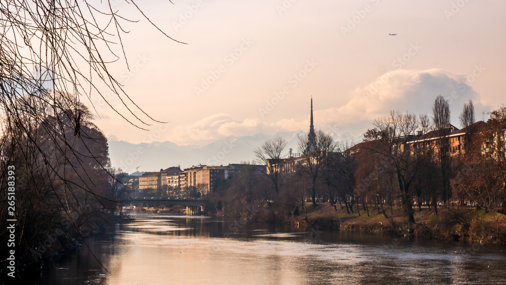 Naklejka premium Turin River View