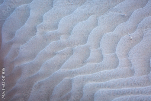 texture of sand  2