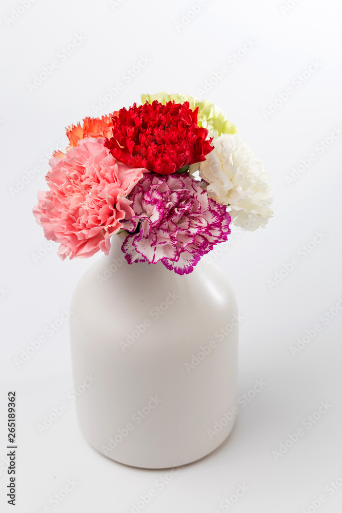 Beautiful carnations in bloom Beautiful carnations in bloom