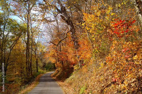 Autumn backroad in Tennessee USA