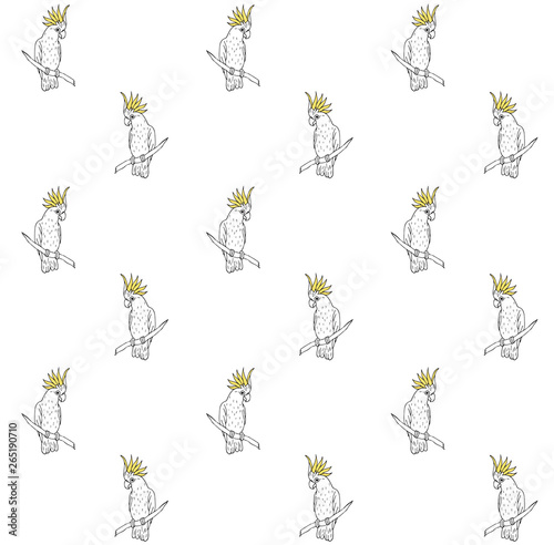Vector seamless pattern of black line hand drawn cockatoo parrot sitting on tree branch isolated on white background 