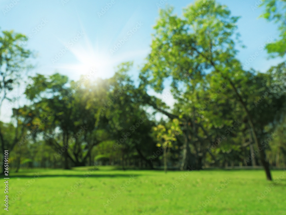 blured photo Green trees and gardens Beautiful light in the morning blured photo Green trees and gardens Beautiful light in the morning