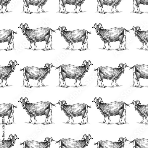 Fototapeta Naklejka Na Ścianę i Meble -  Seamless background of goat sketches