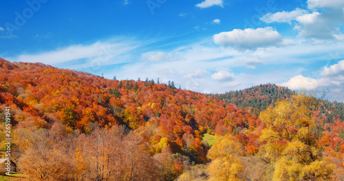 Panoramic autumn landscape mountain river.