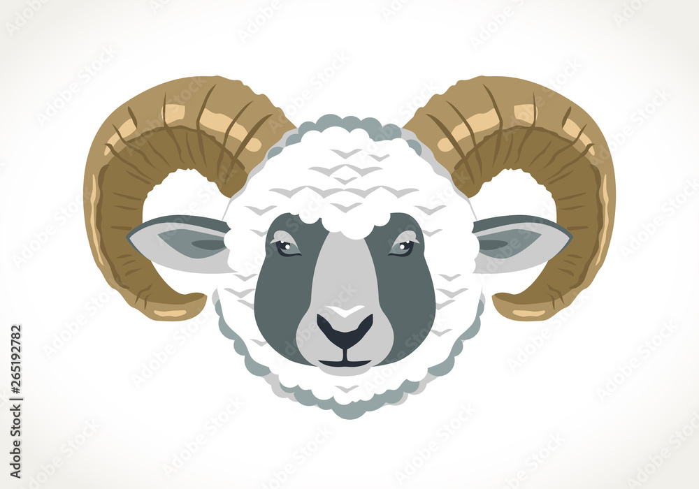 Ram mutton sheep animal vector illustration head with horns zodiac aries