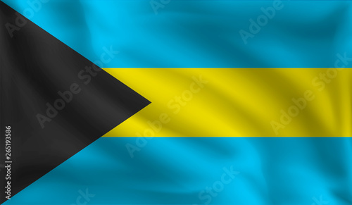Waving Bahamas flag, the flag of Bahamas, vector illustration