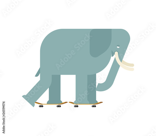 Elephant on skateboard. Large Animal on board. bishop Skateboarder
