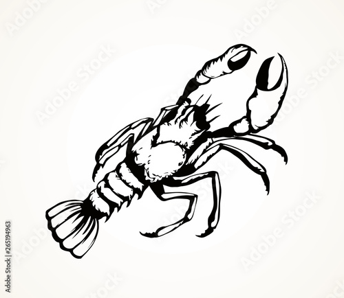 Lobster. Vector drawing