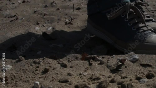 Wallpaper Mural Women's feet in sneakers moving and posing on the sand, close-up. Women's feet move and shuffle on the sand. Torontodigital.ca