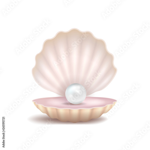 Realistic 3d Detailed Pearl and Shell. Vector