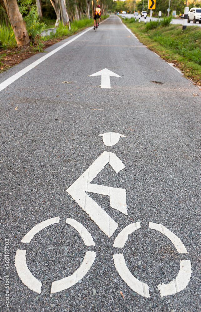 Bicycle road sign and arrow bike lane symbol,bike lane in the garden sightseeing and ride bike in the park. White painted bike on asphalt. Ride ecological green urban transport. Bicycle road sign and arrow bike lane symbol,bike lane in the garden sightseeing and ride bike in the park. White painted bike on asphalt. Ride ecological green urban transport.