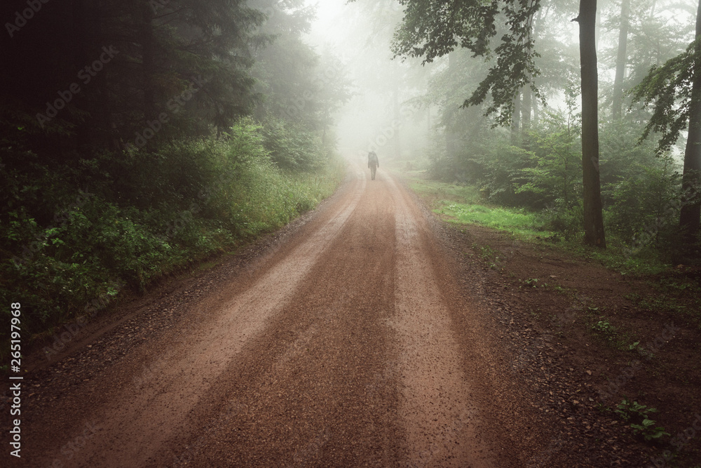 Wandern im Nebel - Thüringer Wald Wandern im Nebel - Thüringer Wald
