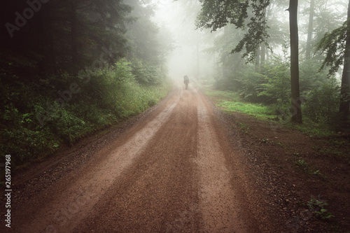 Wandern im Nebel - Thüringer Wald