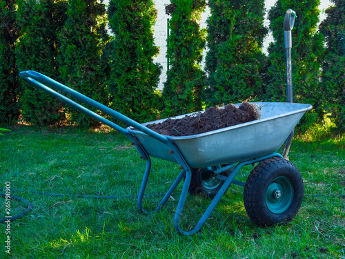 Wallpaper Mural garden cart for planting palnt in the garden with shovel, green tree Torontodigital.ca