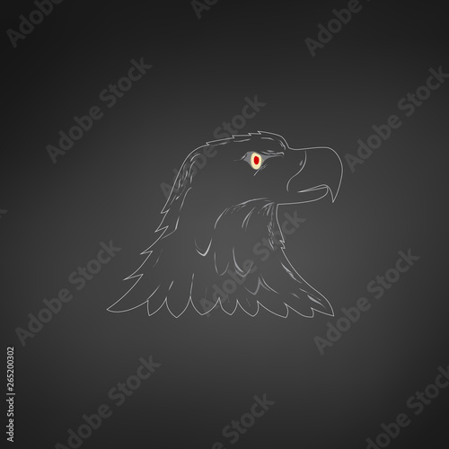 American Bald Eagle or Hawk...