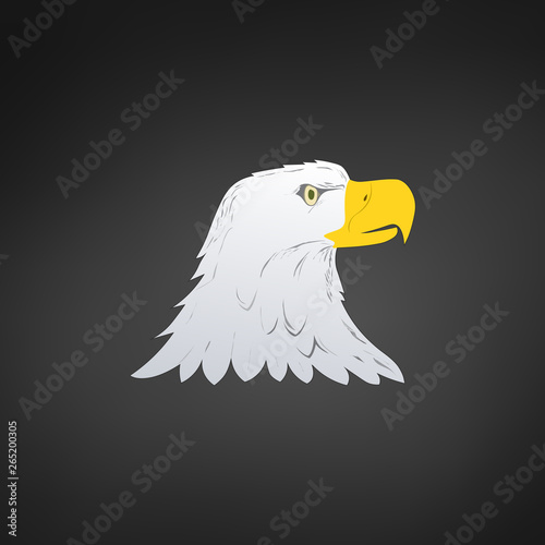 American Bald Eagle or Hawk...
