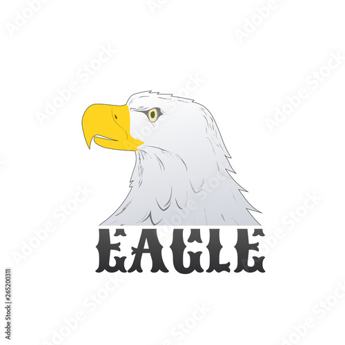 American Bald Eagle or Hawk...