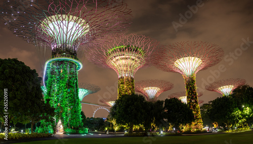Impressive Supertrees at the Gardens by the Bay, Singapore