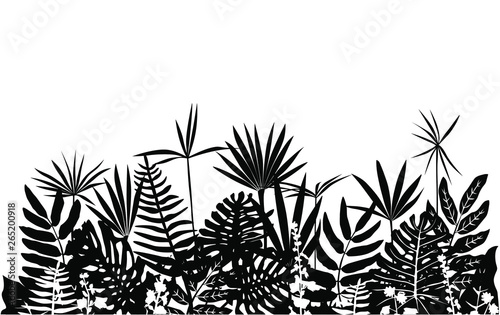 Silhouette of spring and summer tropical plants and flowers. Horizontal pattern. Vector illustration of nature ficus, palm, monstera, fern, black and white color isolated on white background