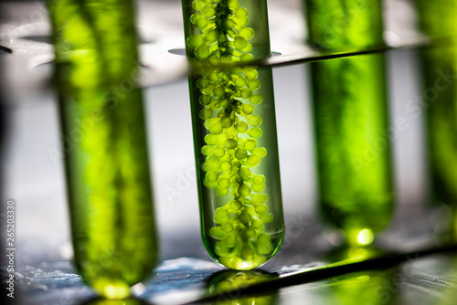 Photobioreactor in medical ...
