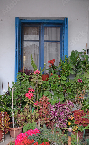 Blumen an einem Haus auf Kreta