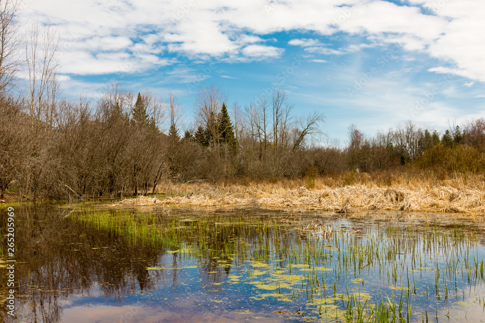 The snow melted and the water flooded the lowlands