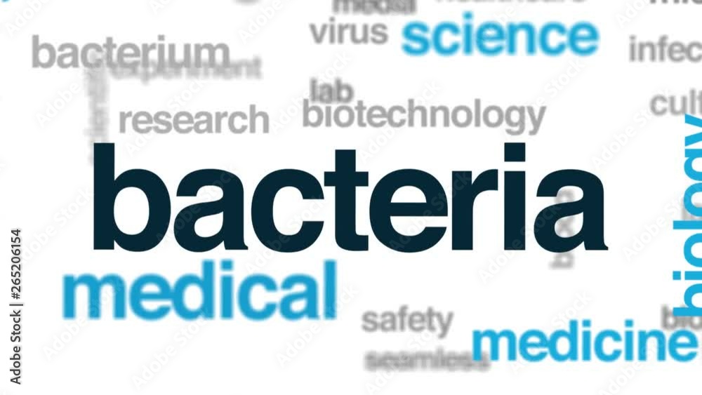 Bacteria animated word cloud. Kinetic typography. Bacteria animated word cloud. Kinetic typography.
