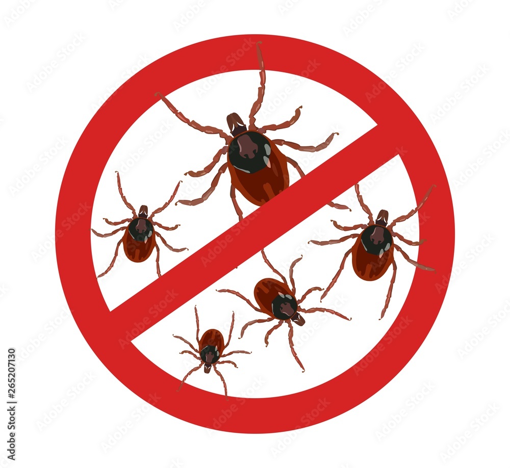 Stop red sign Carefully ticks. Insect parasites. Vector illustration.
