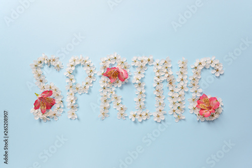 The word Spring made from white cherry blossom flowers and Alstroemeria flowers