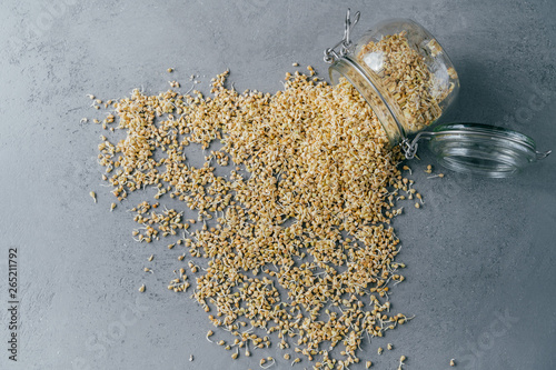 Sprouted buchwheat spilled from glass jar on grey background. Vegan organic sprouts. Eco products. Dieting and healthy nutrition concept photo