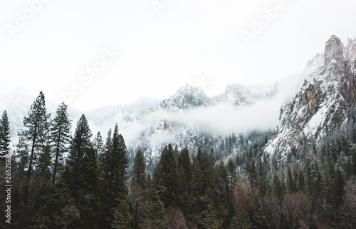 Wallpaper Mural Snow and low clouds in Yosemite Valley Torontodigital.ca