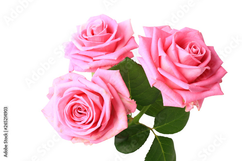 three pink roses with leaves isolated on white background