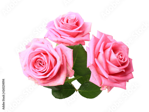 three pink roses with leaves isolated on white background