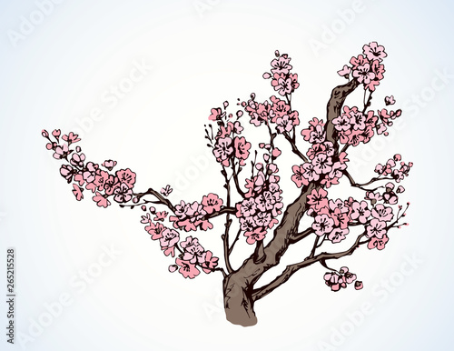 Spring flowering tree. Vector drawing