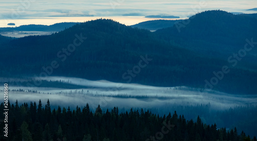 Misty valley in forest and mountains photo