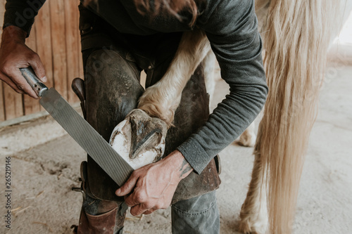 Blacksmith putting horseshoe on hoof of horse photo