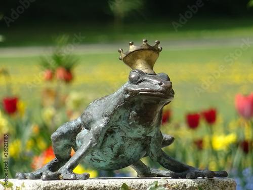 the fairy tale of the frog king of brothers grimm photo