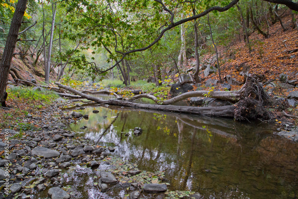 Creek Creek