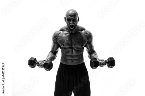 Strong Muscular Men, Body Builder Lifting Weights