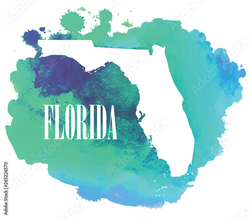 Florida. High detailed vector maps. Spray watercolor paint.