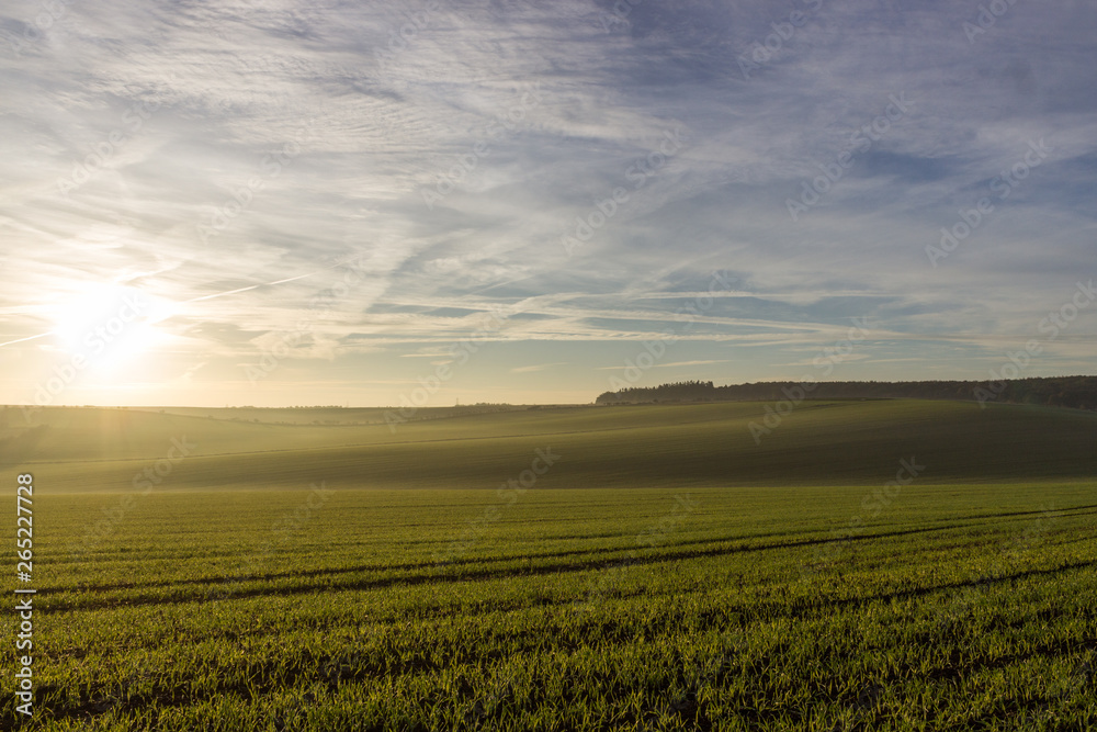 Early morning misty sunrise over a wheat field