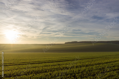 Early morning misty sunrise over a wheat field © Five Till Nine