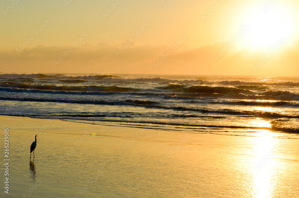  The sun rises on Torres beach, Brazil. 5
