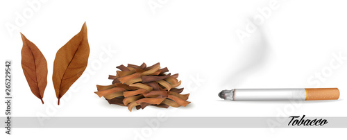 Dry tobacco leaves with cigarette. Vector