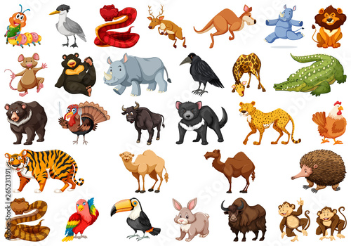Set of cute animals