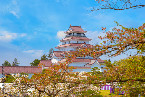 Aizu -Wakamatsu Castle with cherry blossom in Aizuwakamatsu, Japan photo