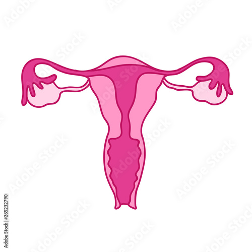 uterus doodle icon