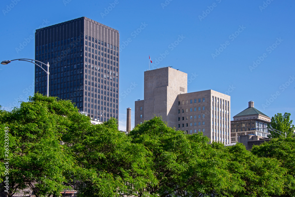  Highrise office buildings fronted by trees