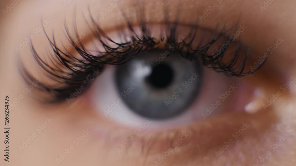 Female macro woman eye with long eyelashes close up, hollywood length beauty salon